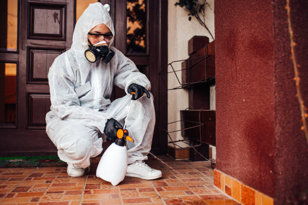 Reliable Wasp Removal contractor in The Galena Territory, IL by Show Me Pest Control